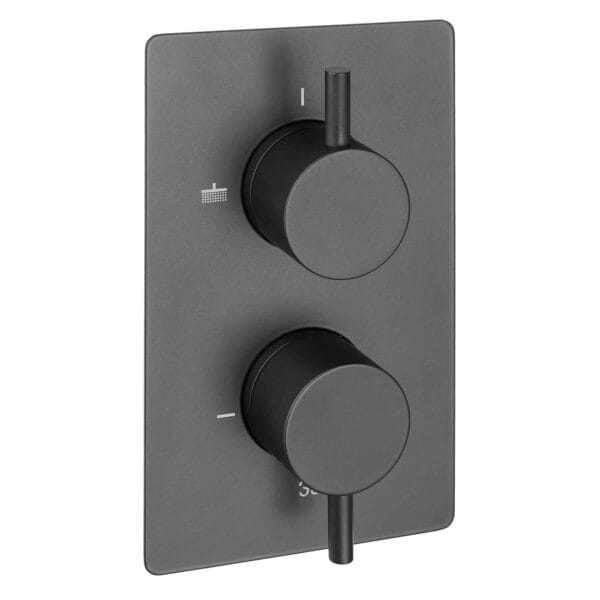 DOLPHIN BLUE SHOWER VALVE & two way diverter - Image 3