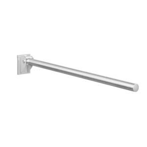 DOLPHIN REMOVABLE DROP-DOWN RAIL