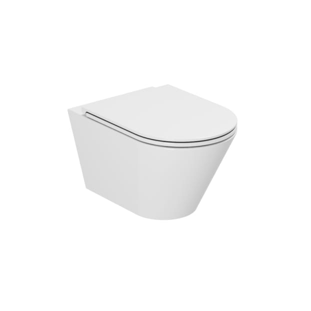 DOLPHIN WALL MOUNTED WC PAN