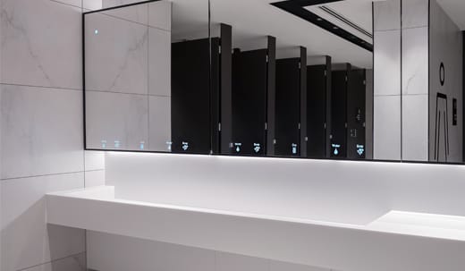 Dolphin Alavo as seen in a women's washroom