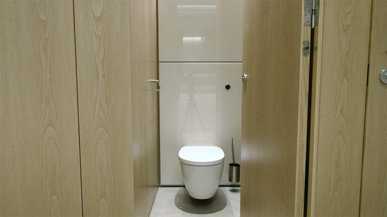 Earthy toned ambulant toilet cubicle, wall-hung WC pan and toilet brush holder