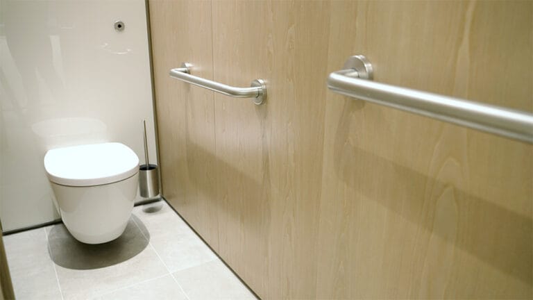 Wall-hung WC pan, stainless steel grab rails and toilet brush holder fittings in ambulant toilet cubicle