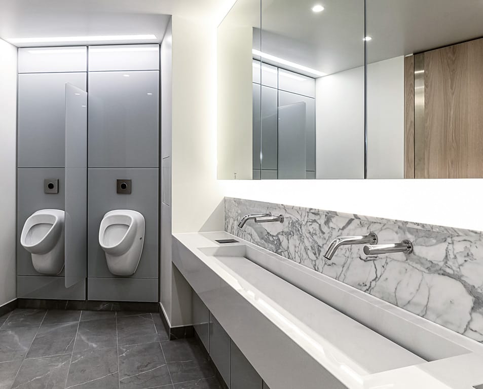 Timed hygiene flush installed in this commercial washroom