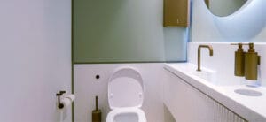 Commercial superloo washroom solution meeting Document T regulations