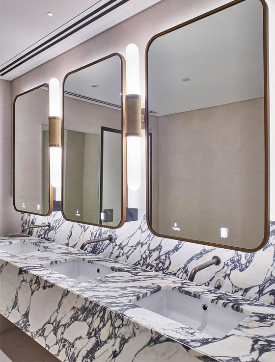 Alavo Solo covers various challenges in commercial washroom designs