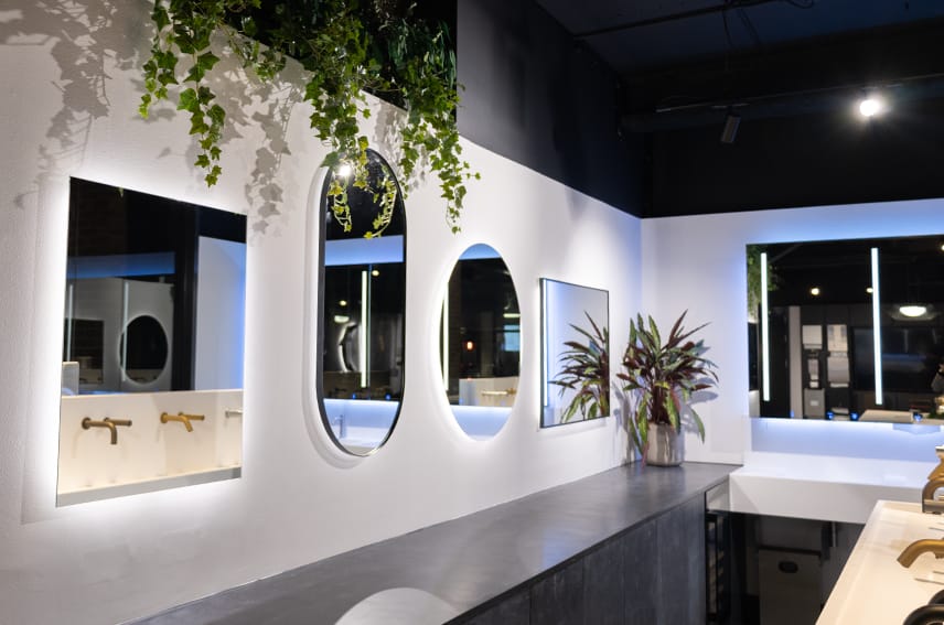 Dolphin Design Hub Mirrors