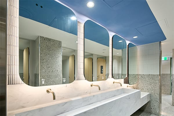 Dolphin WashWall Premium