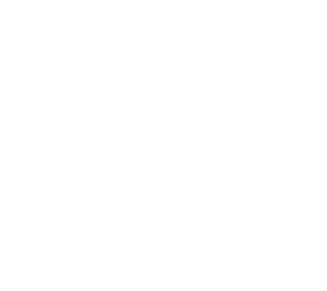 Dolphin UK