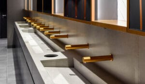 Dolphin WELL Certified Taps